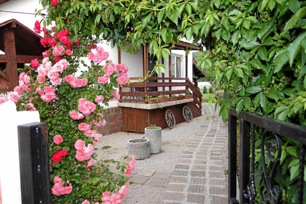 Guest House Medina Belogradcsik Kültér fotó