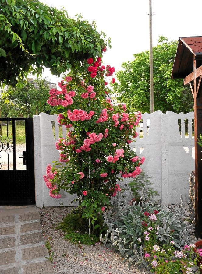 Guest House Medina Belogradcsik Kültér fotó