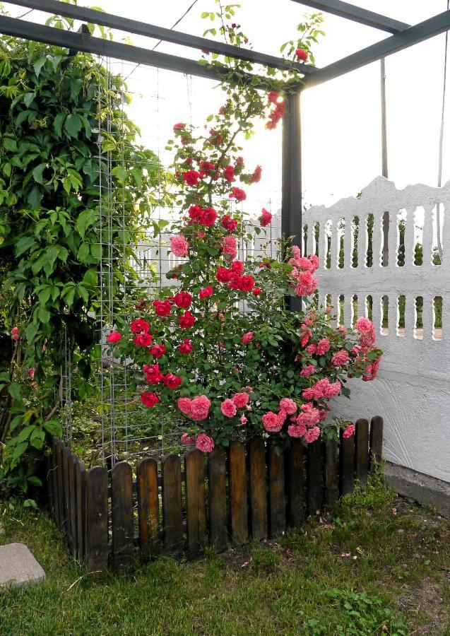 Guest House Medina Belogradcsik Kültér fotó