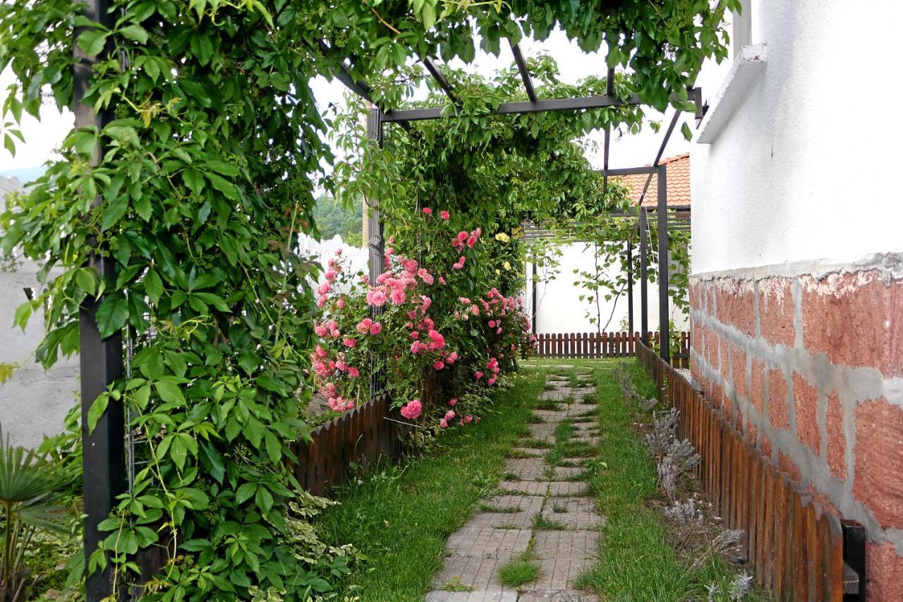 Guest House Medina Belogradcsik Kültér fotó