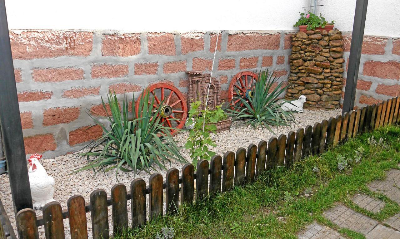 Guest House Medina Belogradcsik Kültér fotó