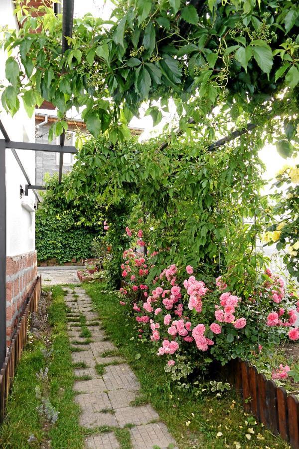 Guest House Medina Belogradcsik Kültér fotó