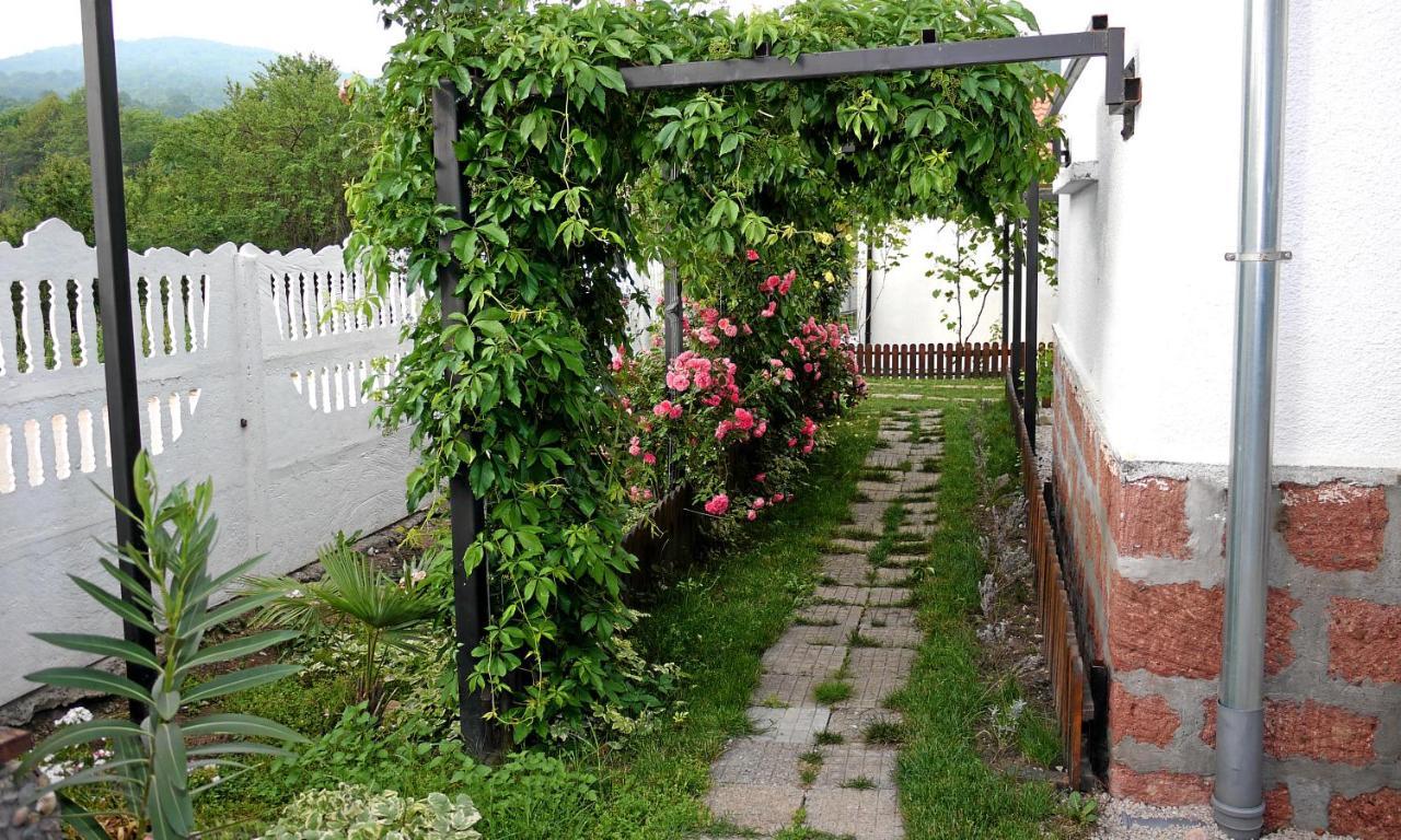 Guest House Medina Belogradcsik Kültér fotó